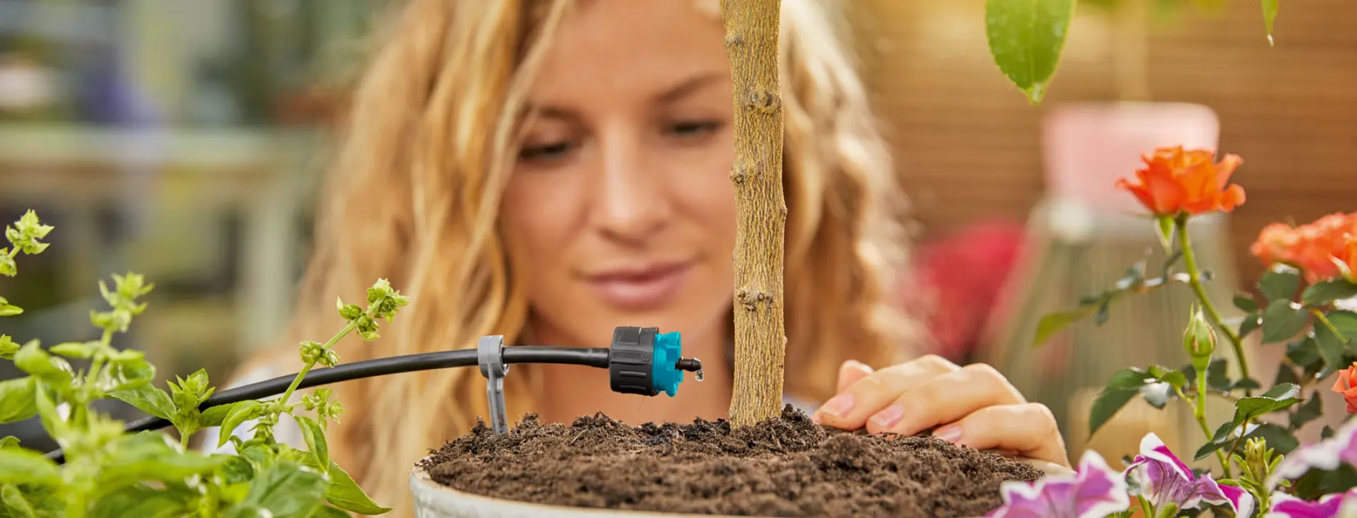 Jardin Outil Magasin -Jardin Outil Magasin DFGFGH