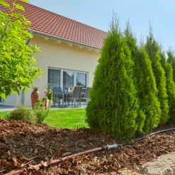 Ensemble Arrosage Goutte à Goutte Rangées De Plantes Gardena 50 M -Jardin Outil Magasin ensemble complet pour installation arrosage goutte goutte rangees de plantes gardena 6