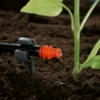 Gardena Goutteur Auto-régulant Arrosage Goutte à Goutte Débit 2L/heure X25