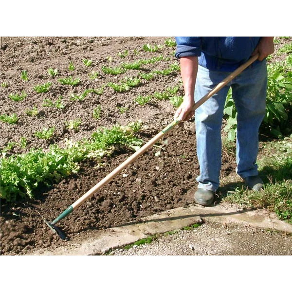 Binette Duopro Outil 3en1 Manche Bois Certifie PEFC 100% Leborgne 2 Binette Duopro Outil 3en1 Manche Bois Certifie PEFC 100% Leborgne – Image 2