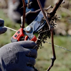 Sécateur Ergonomique Poignée Fixe PX-M2 T M Taille Coupe 20mm Bahco -Jardin Outil Magasin secateur coupe bahco