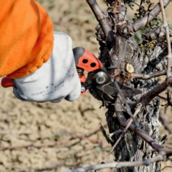 Sécateur Ergonomique Poignée Fixe PX-M2 T M Taille Coupe 20mm Bahco -Jardin Outil Magasin secateur coupe ergo